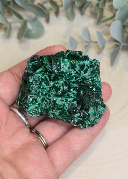 Malachite velour brute de l'Afrique