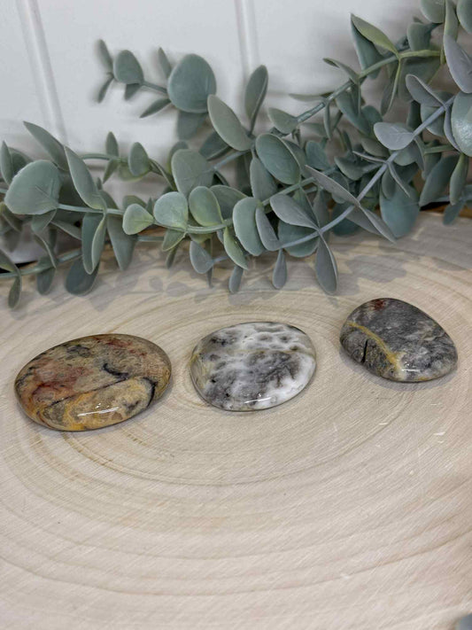 Pierre de paume mince Agate Crazy Lace (fou)