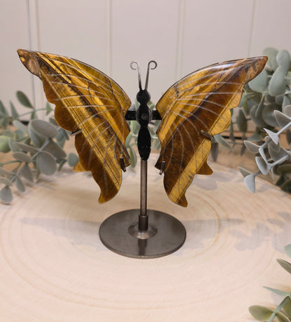 Papillon Oeil de tigre