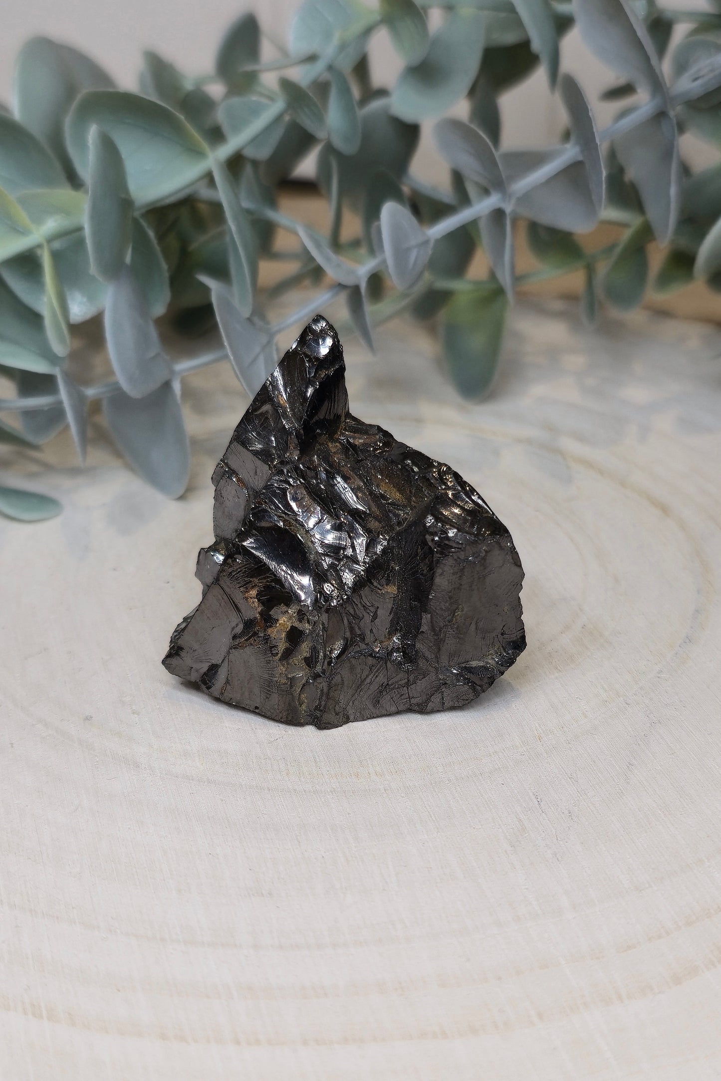 Shungite Élite brute de la Russie