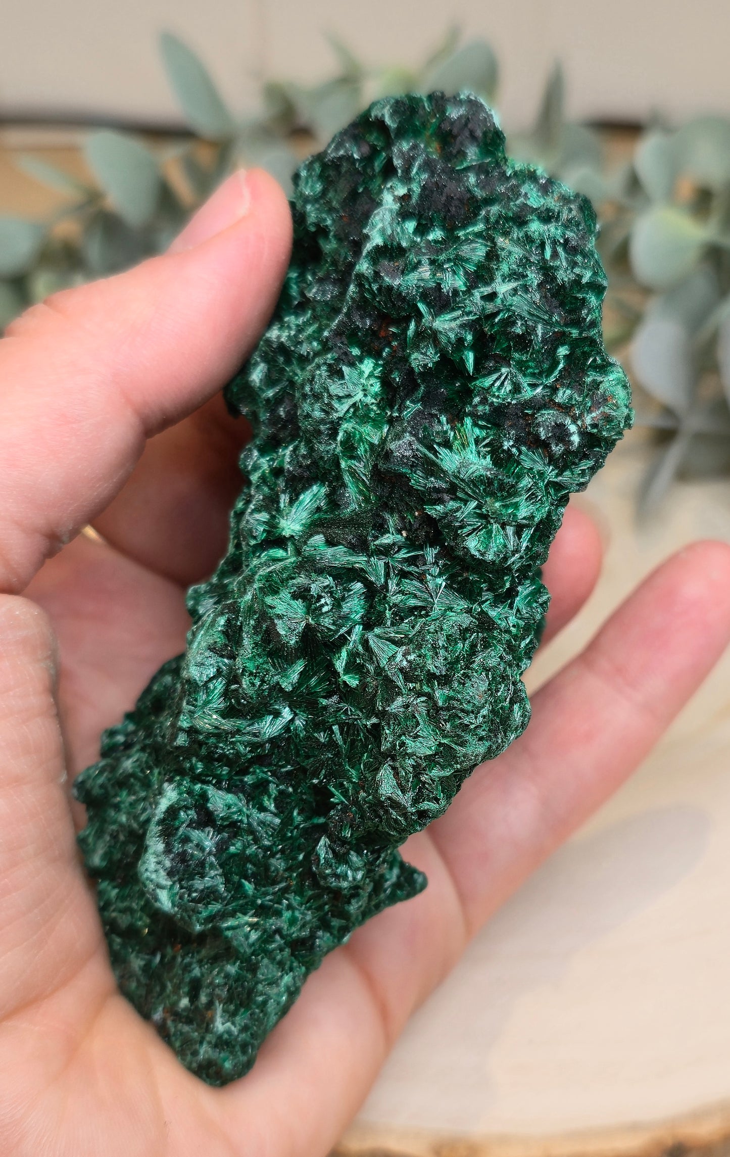 Malachite velour brute de l'Afrique
