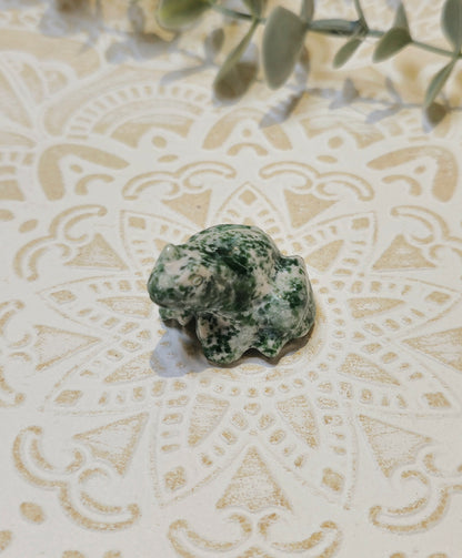 Grenouille Jaspe green dots