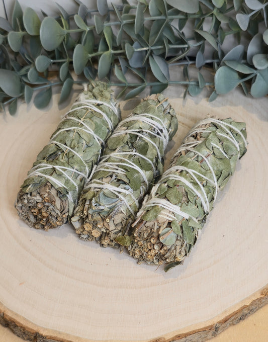 Sauge blanche et Eucalyptus 4"