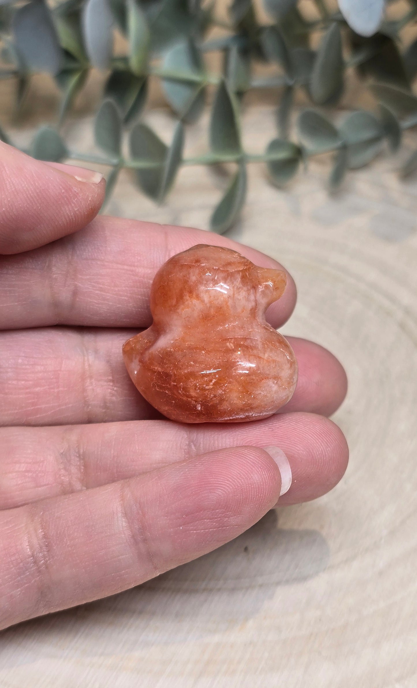 Canard Quartz feu