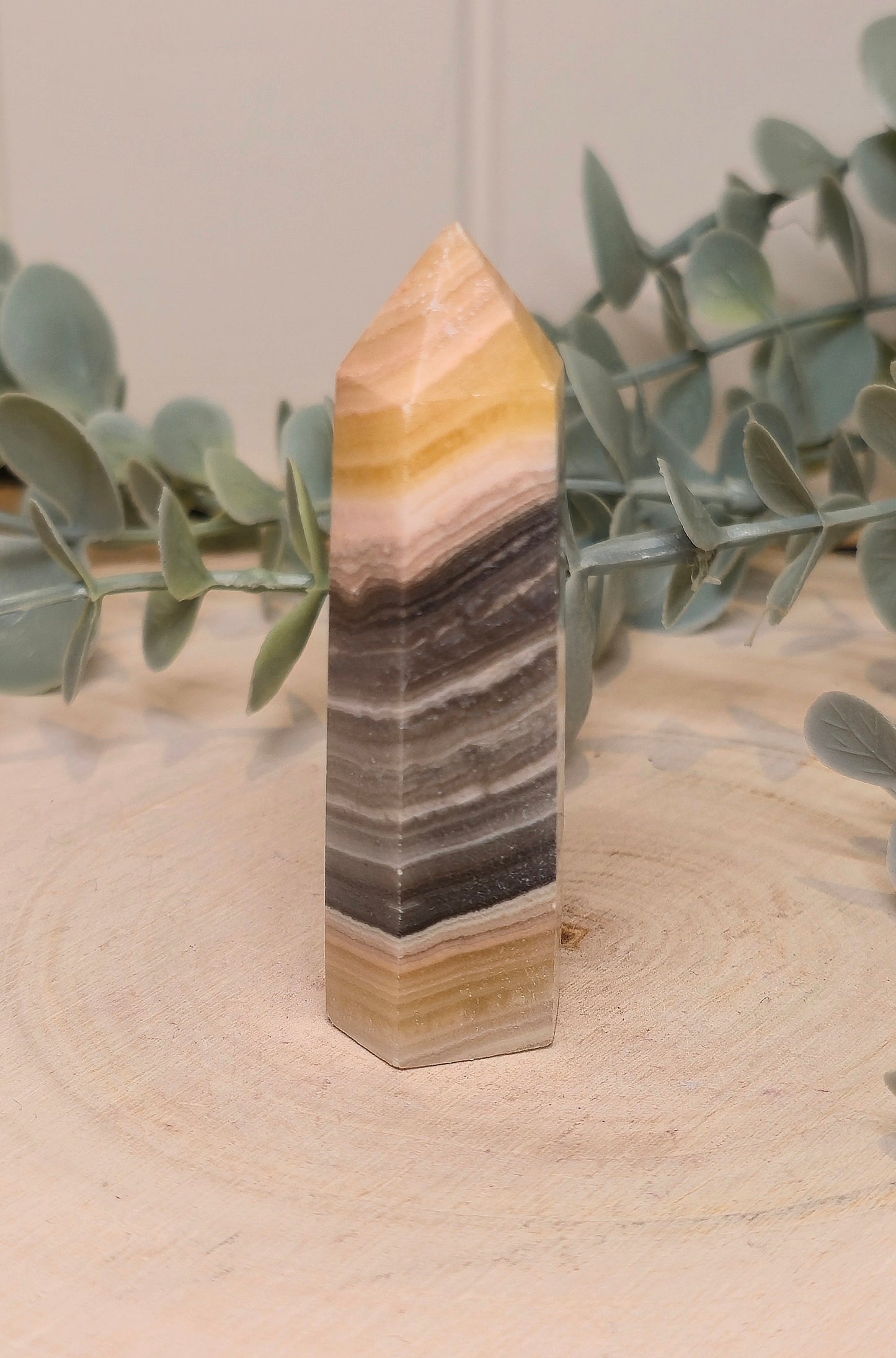 Pointe en Calcite zébré