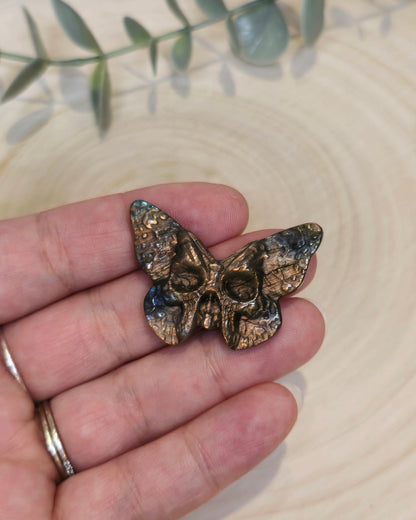 Papillon Crâne Labradorite orangée