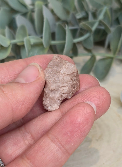 Quartz Nirvana brute