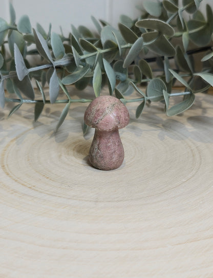 Champignon Rhodonite