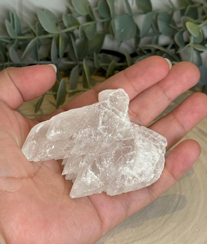 Sélénite Fishtail brute