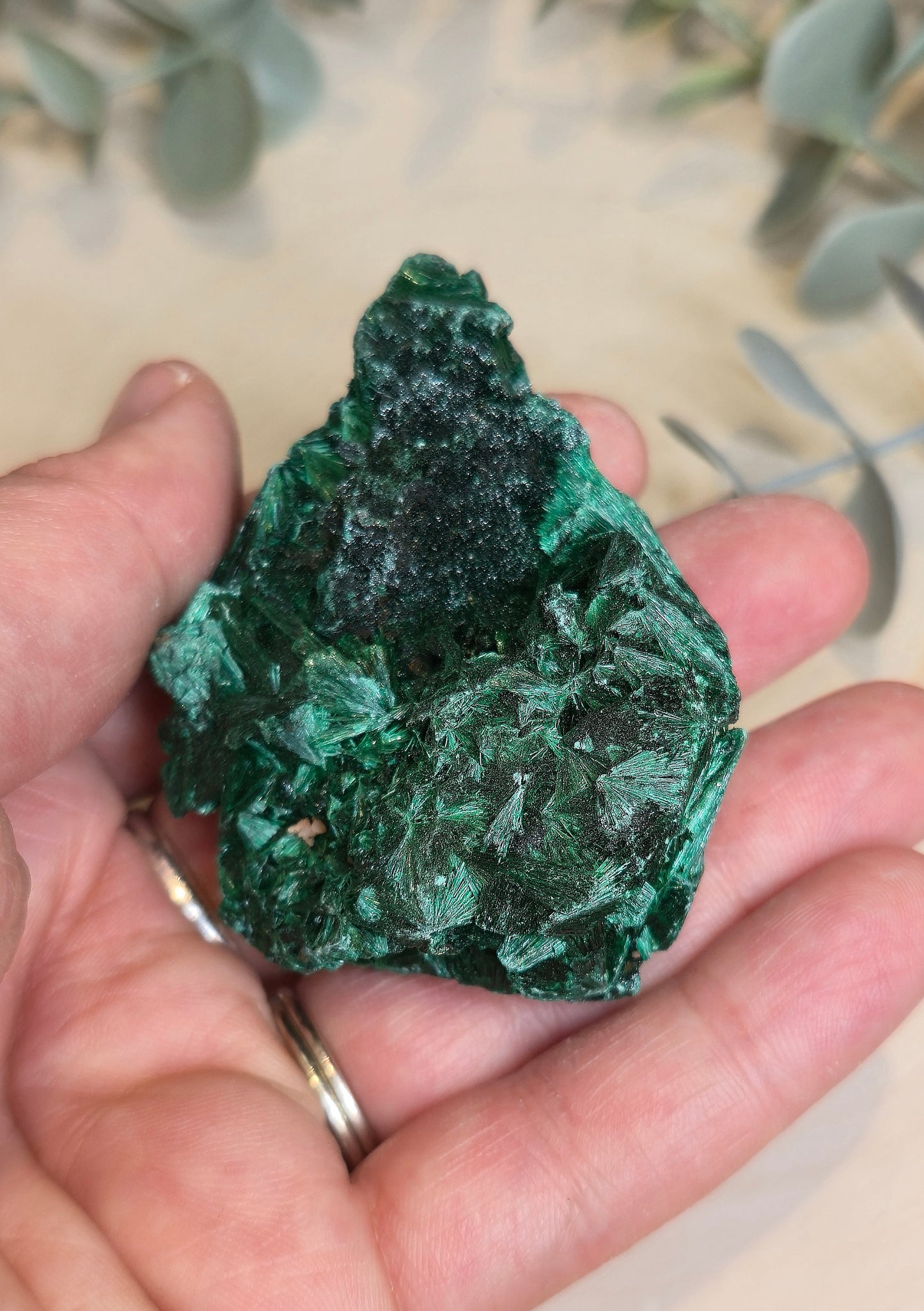 Malachite velour brute de l'Afrique