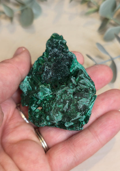 Malachite velour brute de l'Afrique