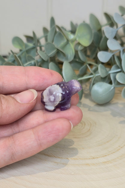 Tortue en Améthyste