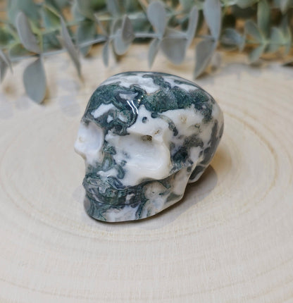 Crâne Agate mousse