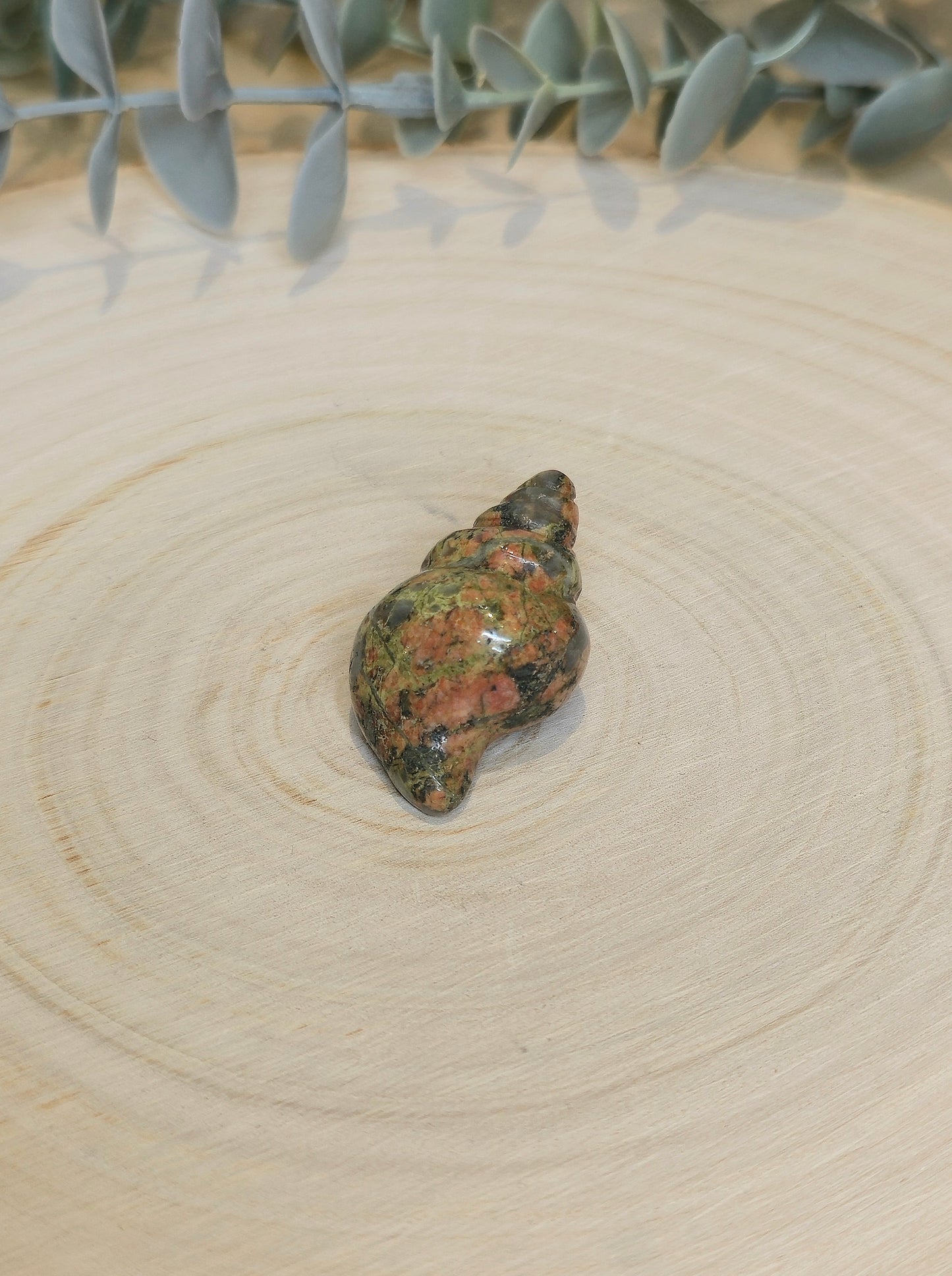 Coquillage Unakite