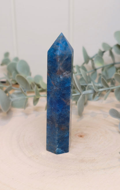 Pointe en Apatite
