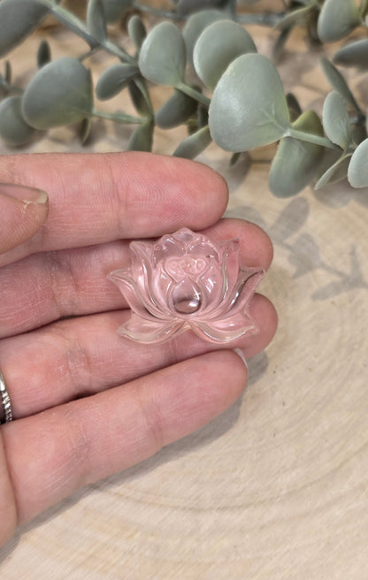 Lotus en Quartz clair