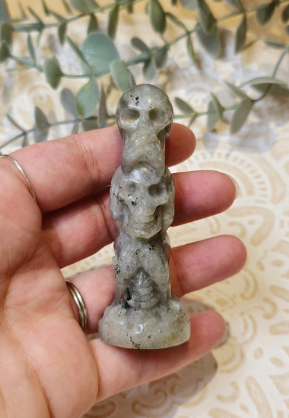 Crâne Labradorite - Rien dit, rien entendu, rien vu