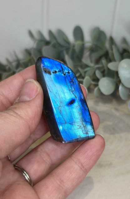 Freeform Labradorite