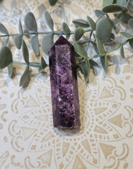 Pointe Mica mauve