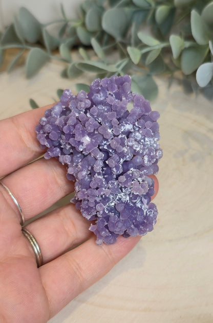 Agate raisin brute