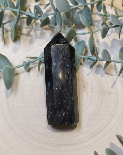 Pointe en Astrophyllite