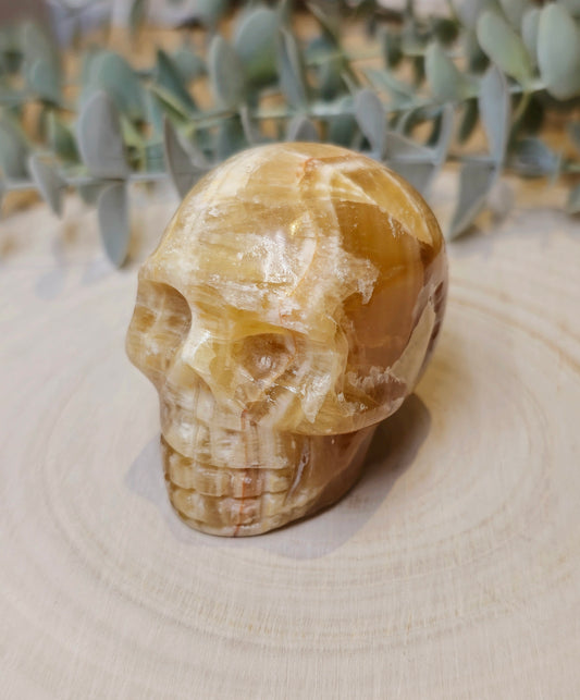 Crâne Calcite miel