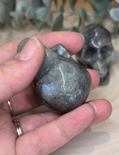 Crâne en Labradorite