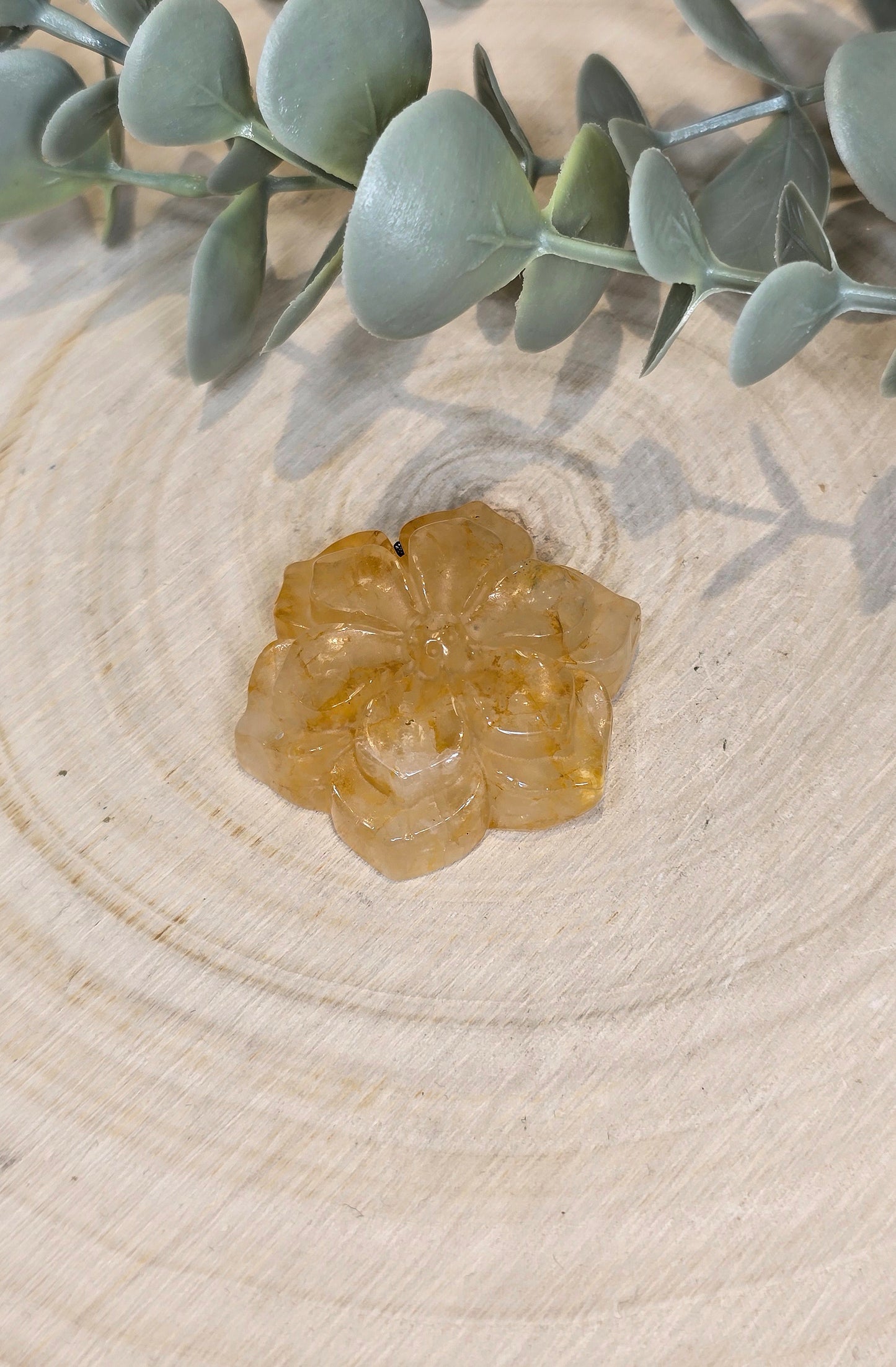 Fleur en Golden Healer