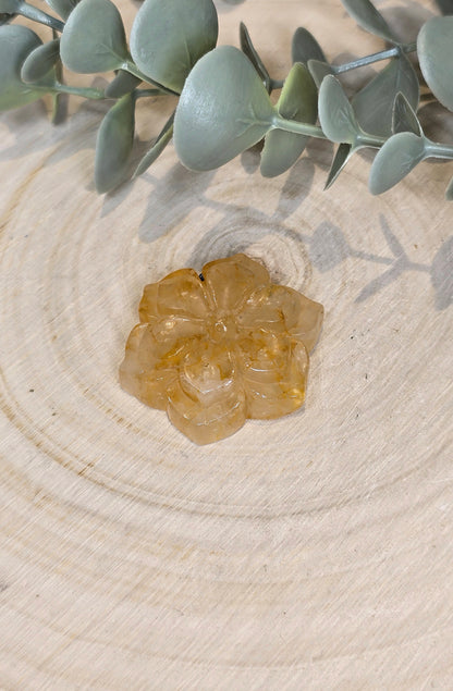 Fleur en Golden Healer