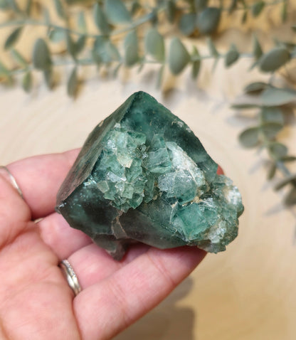 Fluorite verte brute