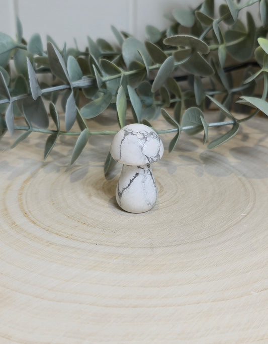 Champignon Howlite