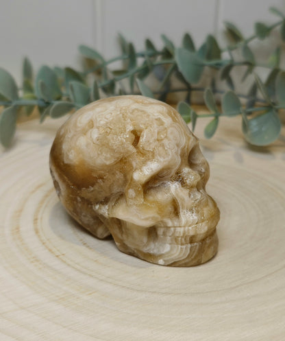 Crâne Agate Fleur ambrée