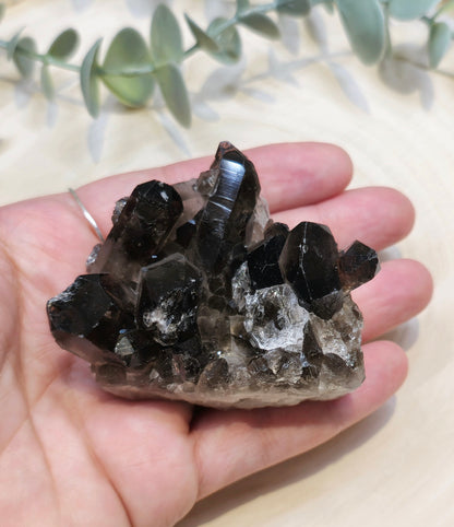 Amas en Quartz fumé