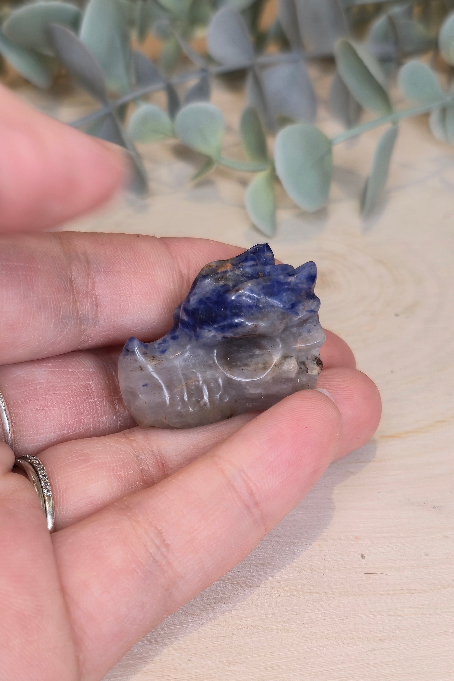 Dragon Sodalite