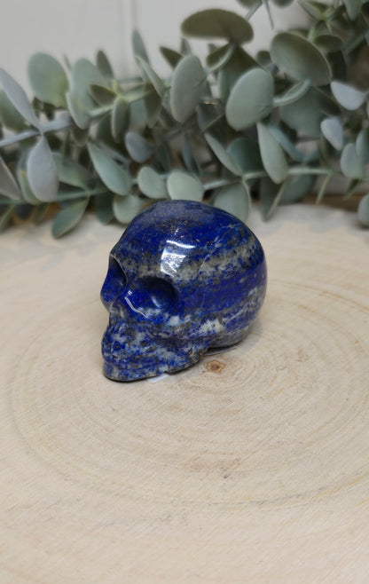 Crâne Lapis Lazuli