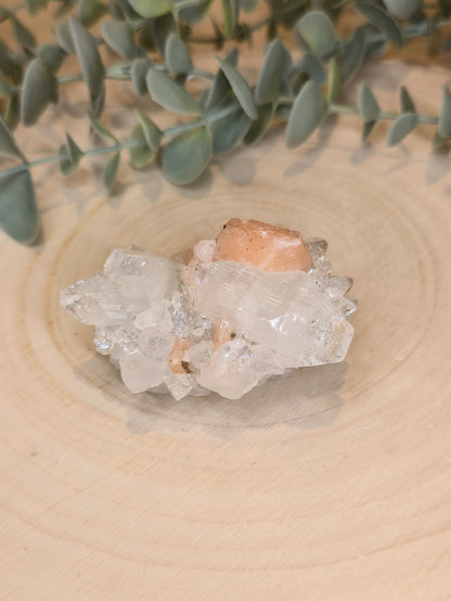 Apophyllite/Stilbite brute d'Inde