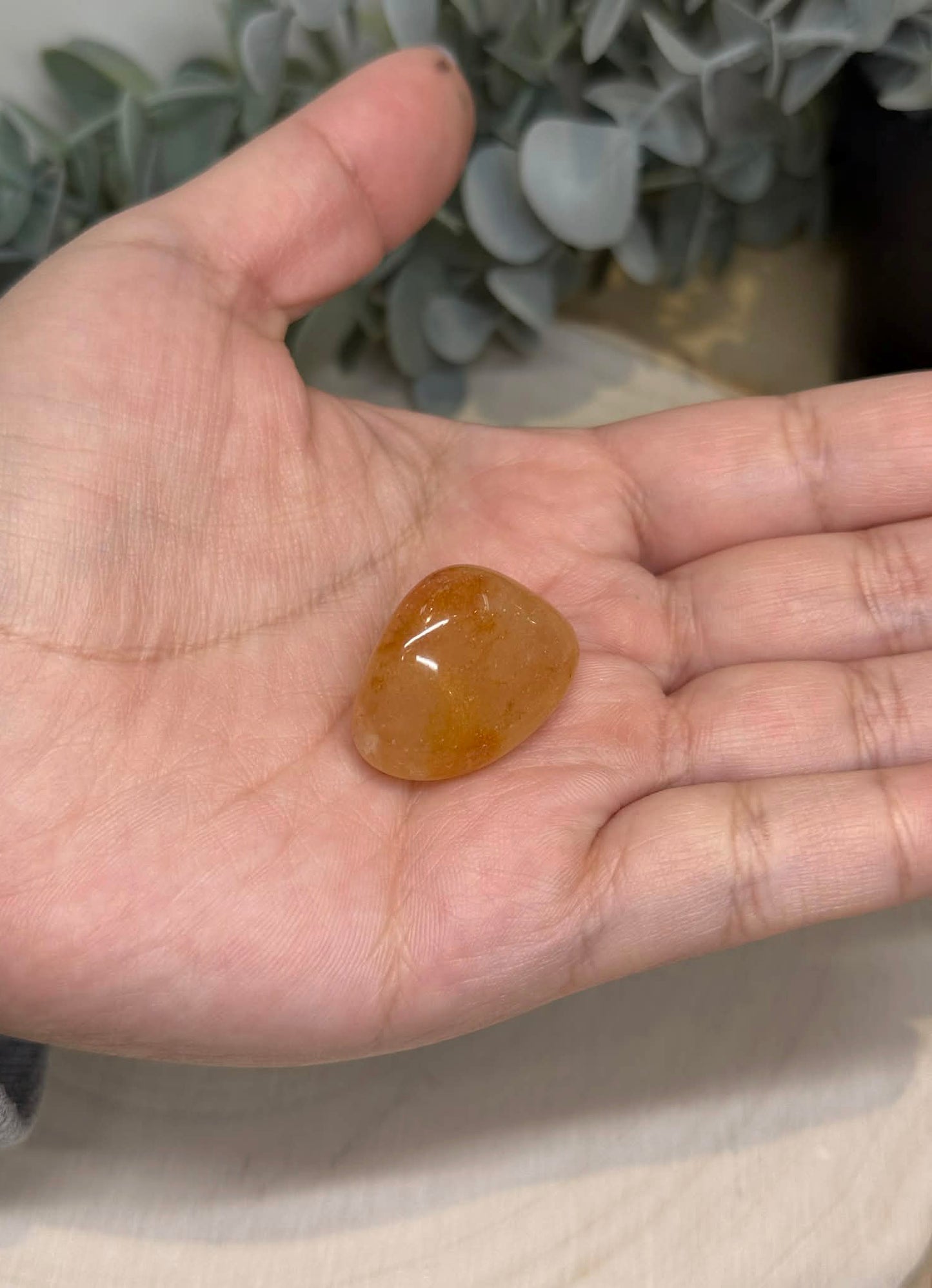 Golden Healer barattée