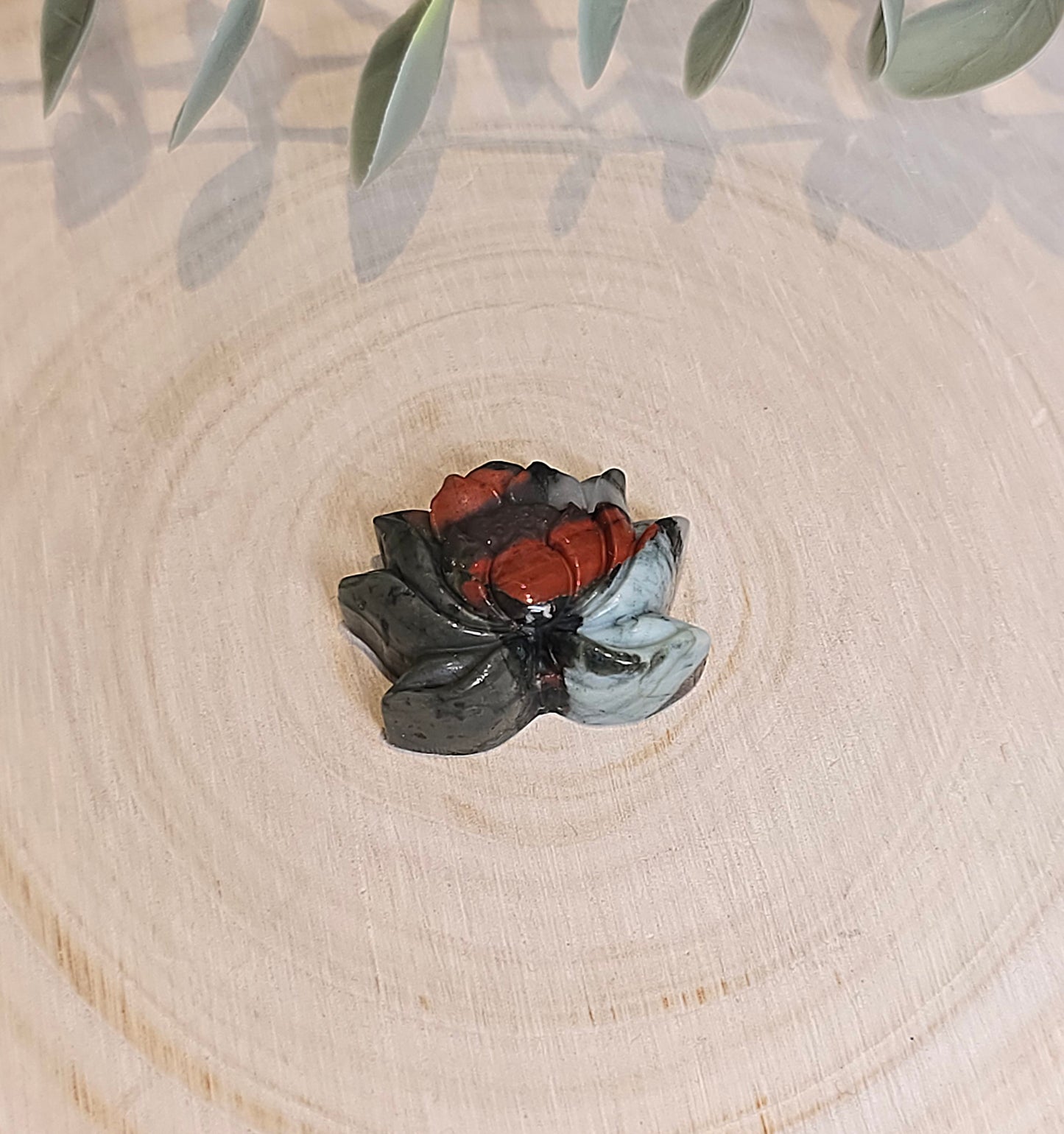 Lotus en Sang africain