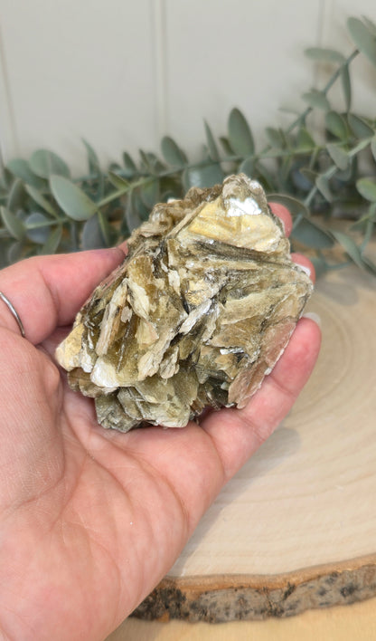 Muscovite du Brésil