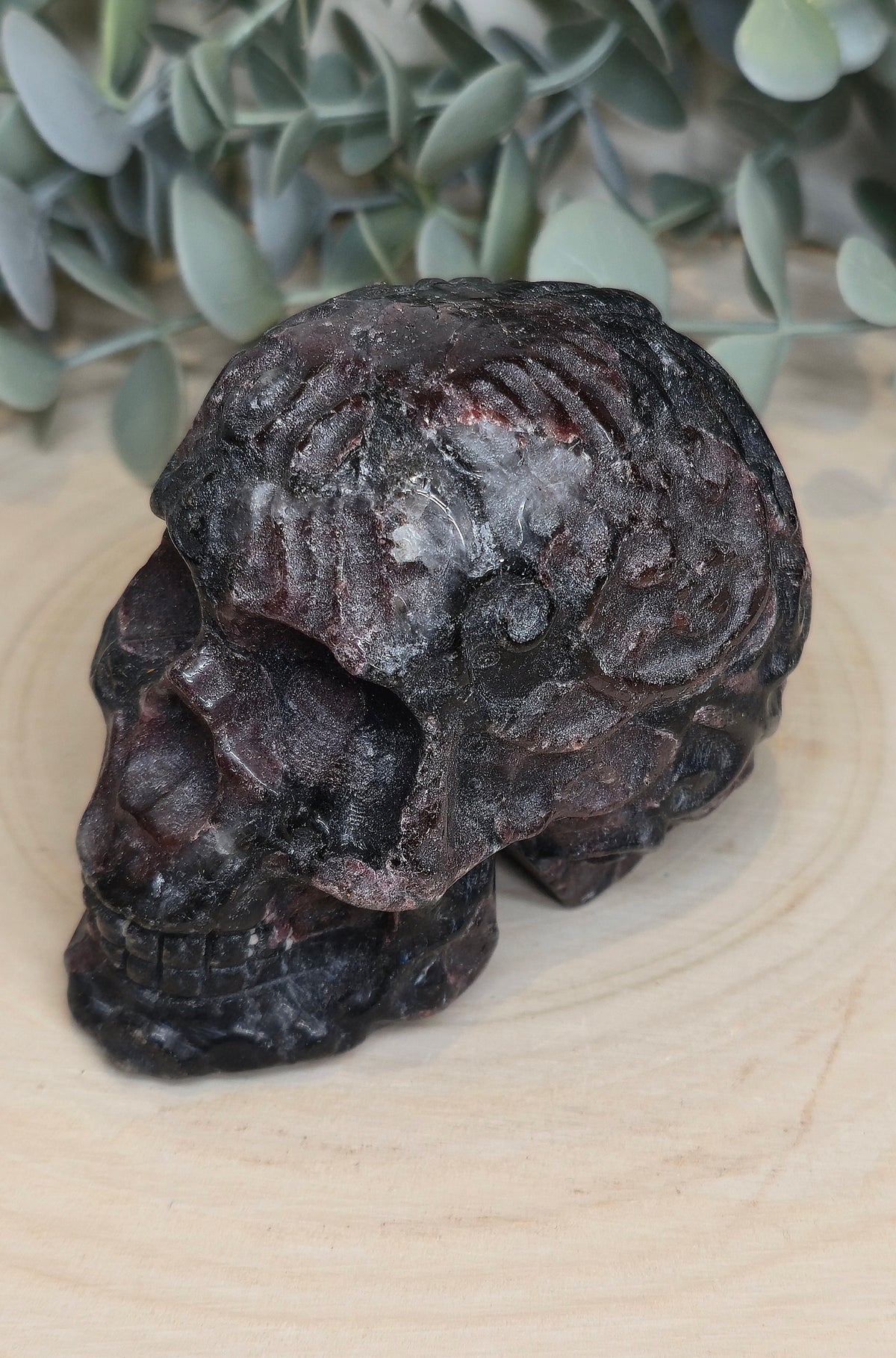 Crâne Grenat dans Astrophyllite