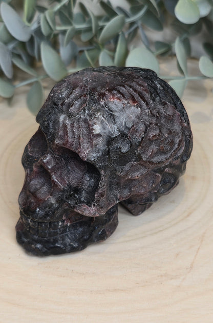 Crâne Grenat dans Astrophyllite