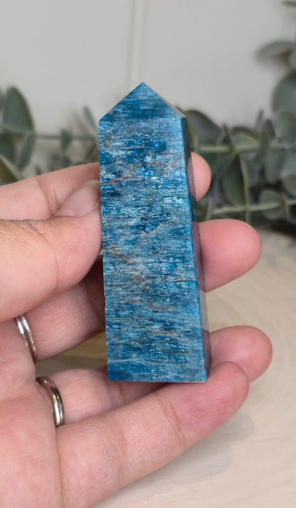 Pointe en Apatite