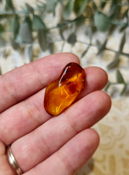 Ambre Baltique barattée