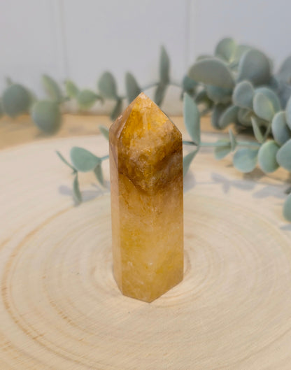 Pointe en Golden Healer