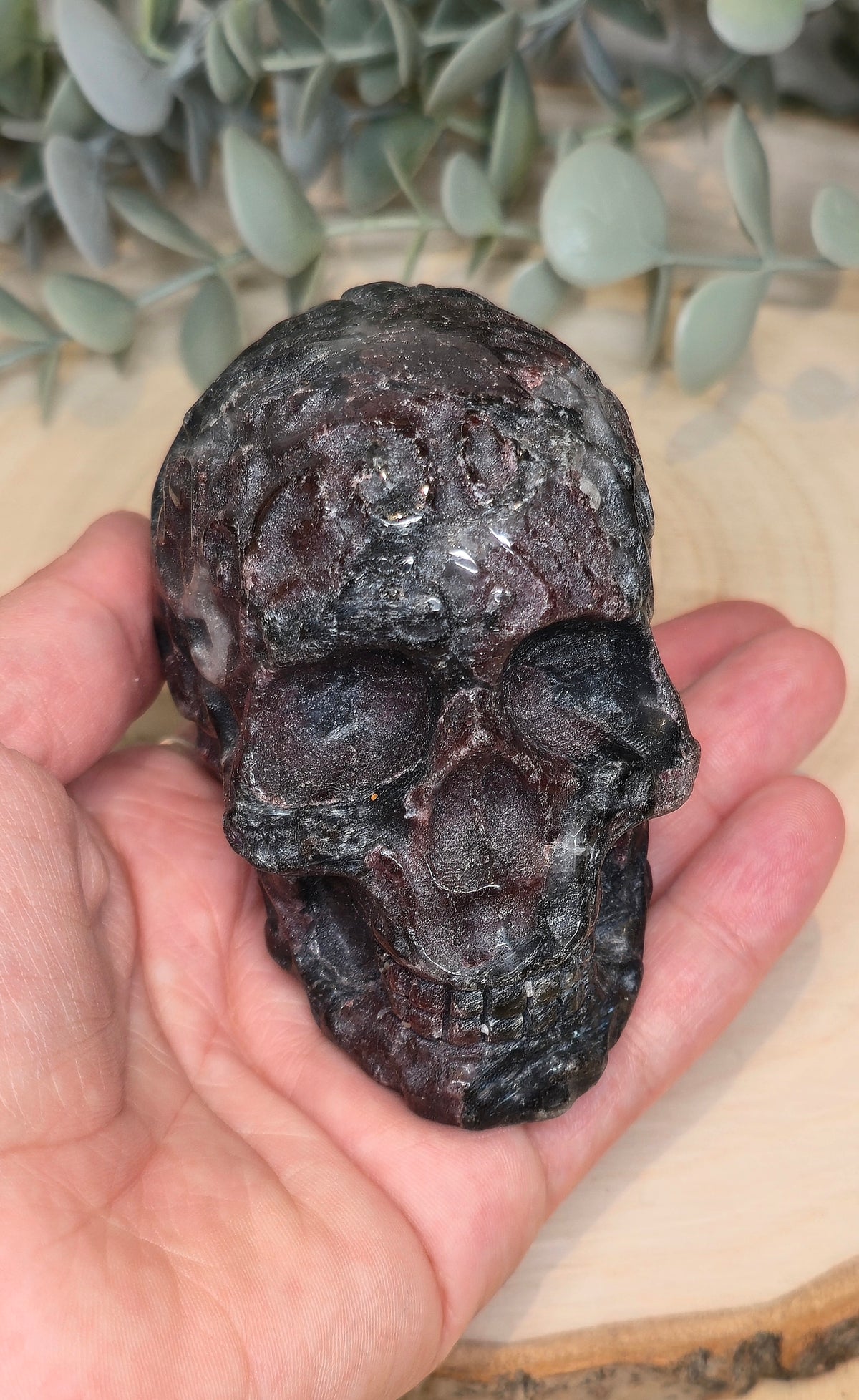 Crâne Grenat dans Astrophyllite