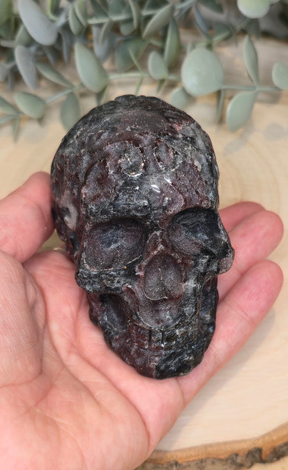 Crâne Grenat dans Astrophyllite