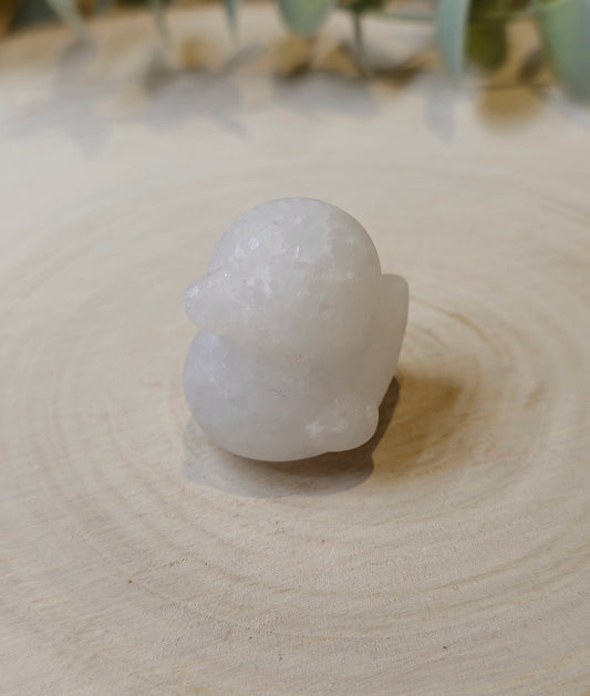 Canard Jade blanc