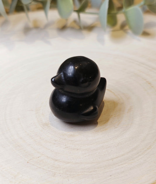 Canard Obsidienne