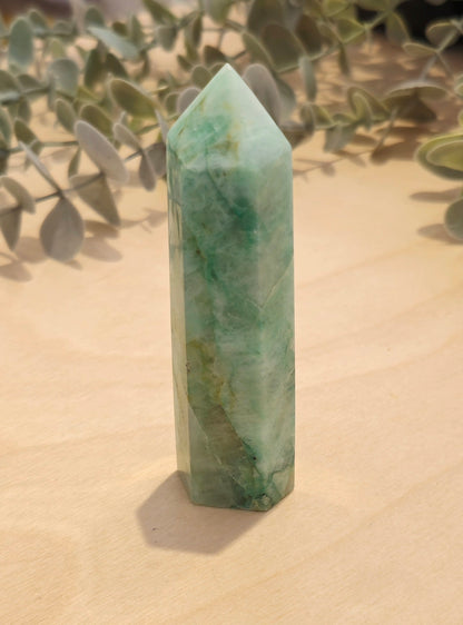 Pointe Quantum Quattro