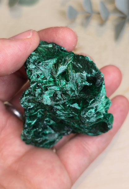 Malachite velour brute de l'Afrique